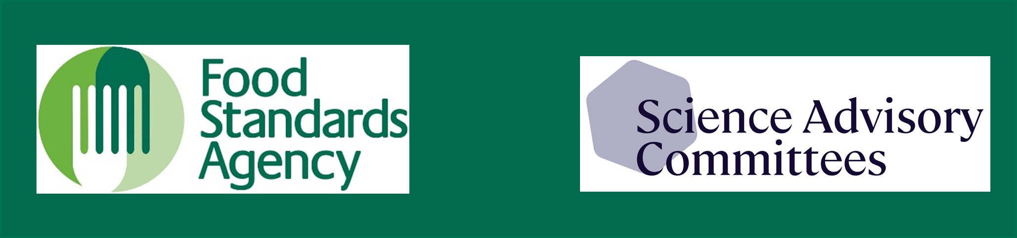 FSA Logo